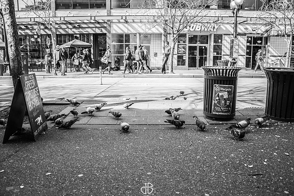 DSC_0147