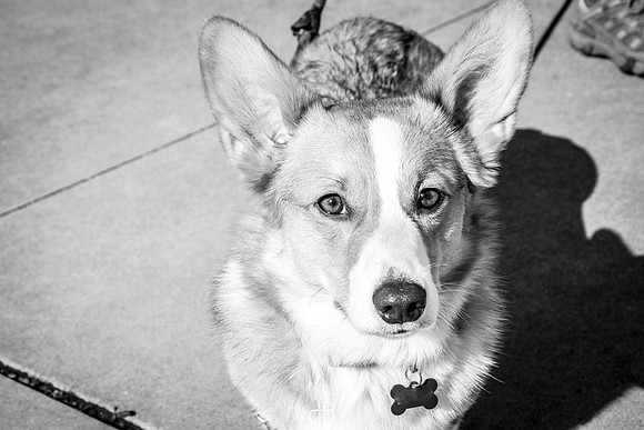 DSC_0192