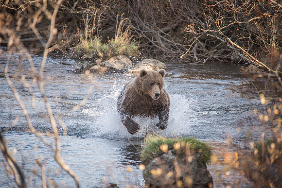 DSC_5176